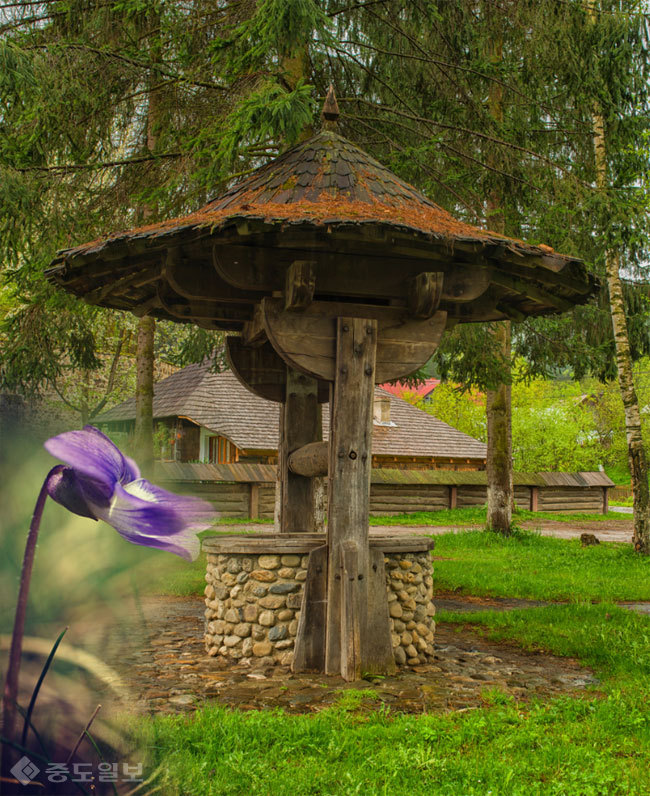 ▲ 사진=게티이미지뱅크