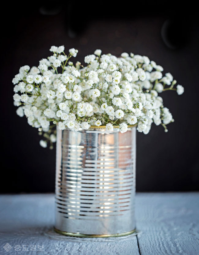 ▲ 사진=게티이미지뱅크