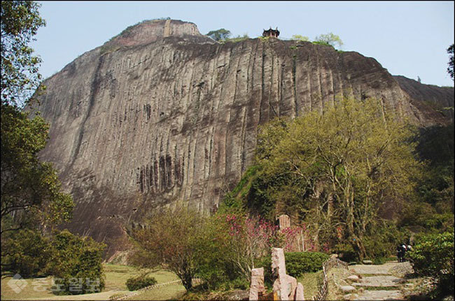 ▲출처=티스토리 블로그 '라파엘의 야생화 사랑' ▲출처=티스토리 블로그 '라파엘의 야생화 사랑'