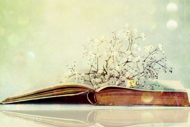 ▲ 사진=게티이미지뱅크