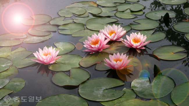 ▲ 사진=게티이미지뱅크 ▲ 사진=게티이미지뱅크