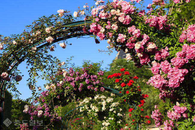 ▲ 사진=게티이미지뱅크 ▲ 사진=게티이미지뱅크