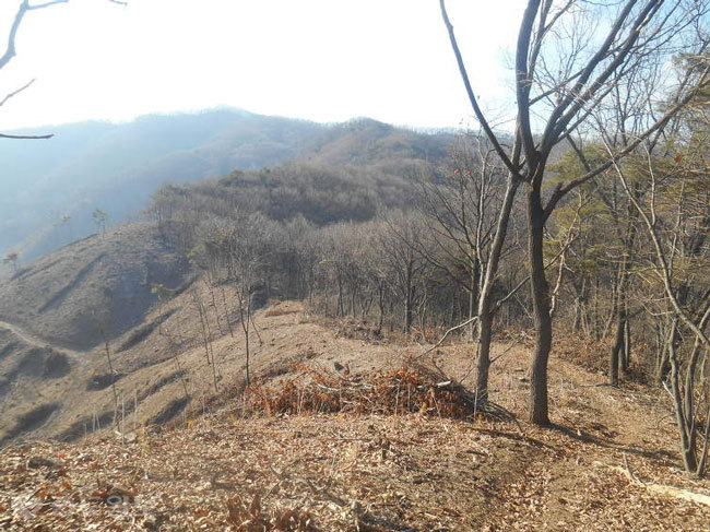 ▲출처=다음 블로그 '신두리'