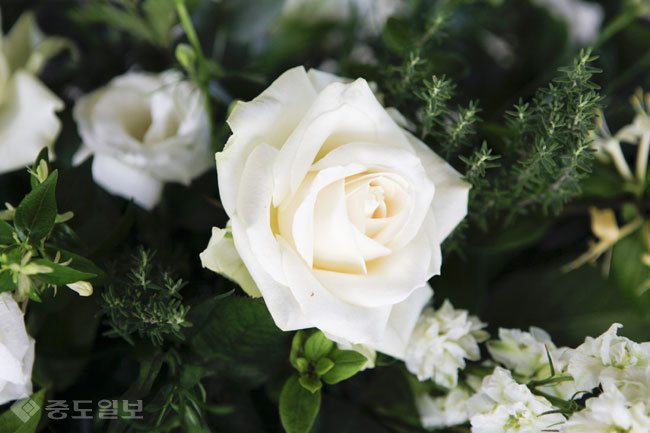 ▲ 사진=게티이미지뱅크