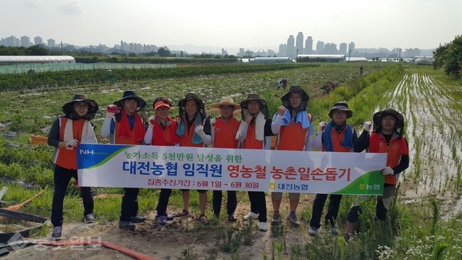 ▲ 대전농협(본부장 안병서) 직원들은 26일 영농철 일손부족으로 어려움을 겪고 있는 유성 관내 감자 농가를 찾아 감자캐기 등 농작업을 도왔다 =대전농협  제공