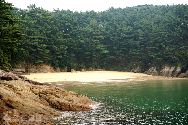 ▲ 기독교 순례지인 고대도는 물속이 환히 들여다보이는 청정해역으로 태안해안국립공원으로 지정됐다. 섬 어디나 손쉽게 조개나 굴을 채취할 수 있어 가족단위 여행객에 인기다.