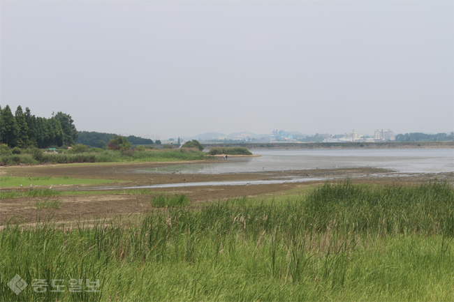 ▲ 천안 업성저수지 ▲ 천안 업성저수지