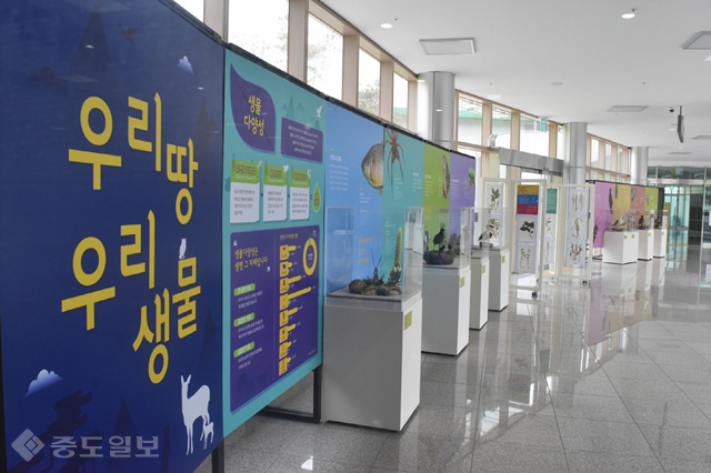 ▲ (제공=영주시) ▲ (제공=영주시)