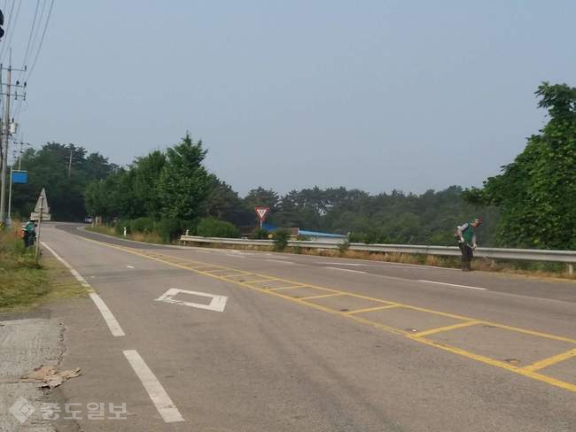 ▲ 서산 음암면 자원봉사회 제초작업 모습