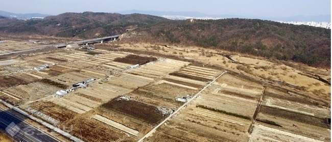 ▲ 도안 호수공원 부지