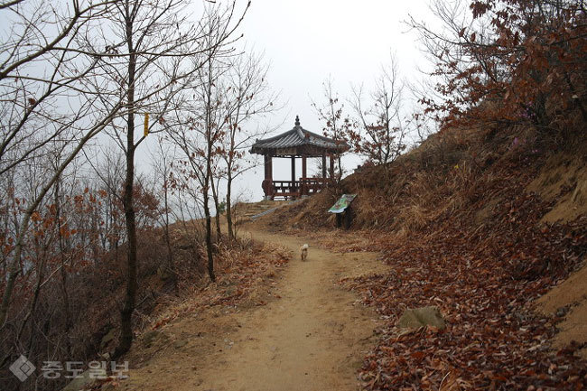 ▲출처=티스토리 블로그 '우리산 둘러보기'