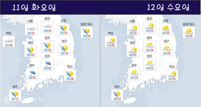 ▲ /네이버 기상정보 참조