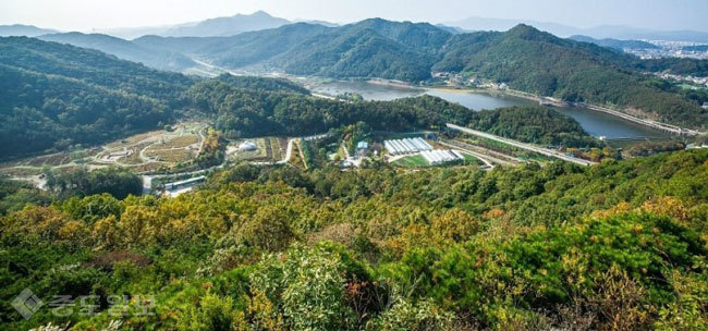 ▲출처=네이버 블로그 '쏠쏠한 일상' ▲출처=네이버 블로그 '쏠쏠한 일상'