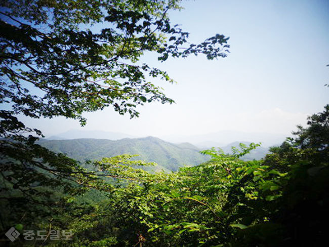 ▲출처=다음 블로그 '기억할만한 지나침' ▲출처=다음 블로그 '기억할만한 지나침'