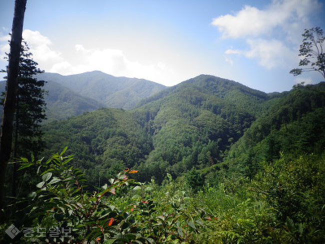 ▲출처=다음 블로그 '기억할만한 지나침'