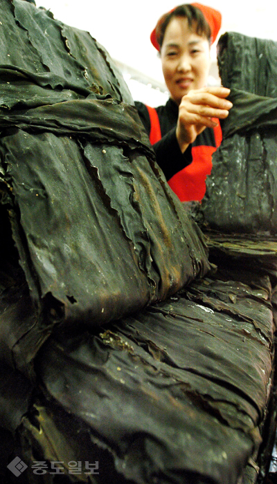 ▲ 완도산 다시마 중도일보 DB