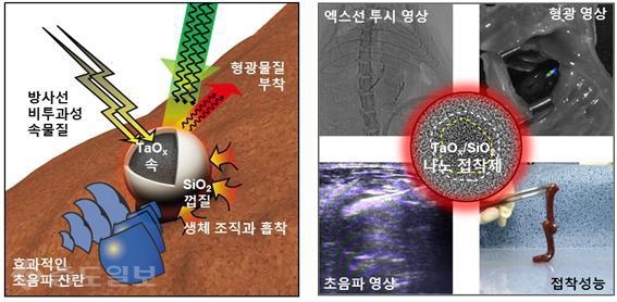 ▲ 조영 및 접착효과를 갖는 나노 접착제 구조와 물성(좌), 나노입자의 전자현미경 이미지와 각 물성을 이용한 대표 예시들(우)