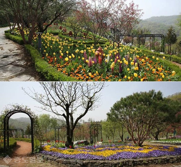 ▲ 연천빌리지 내부에는 형형색색의 꽃들이 관광객을 맞이한다./ 연천 허브빌리지 공식홈페이지