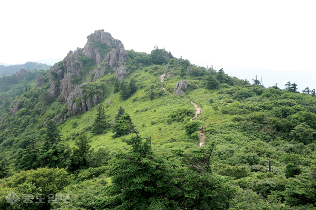 ▲ 지리산 전경