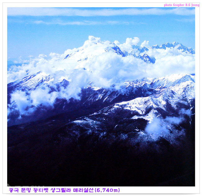 ▲출처=네이버 블로그 '달밭골 블로그' ▲출처=네이버 블로그 '달밭골 블로그'