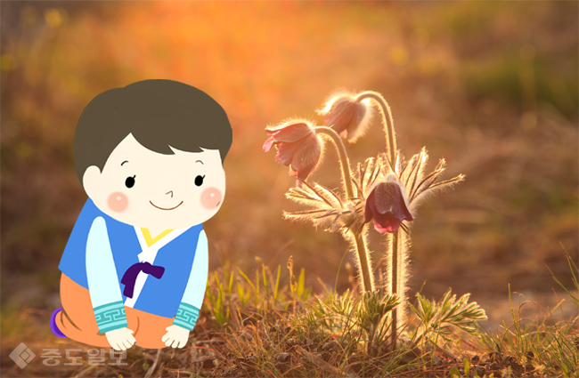 ▲ 사진=게티이미지뱅크