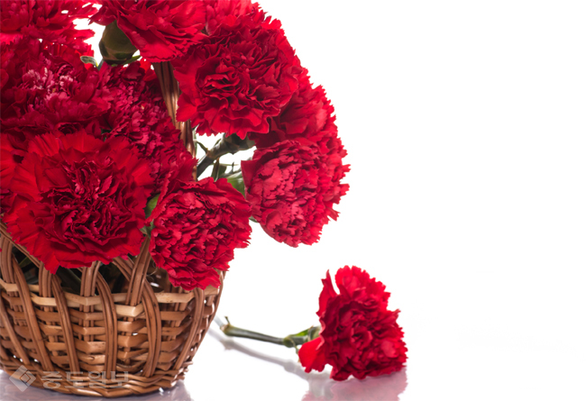 ▲ 사진=게티이미지뱅크