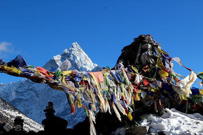 ▲출처=다음 블로그 '신선생의 세상보기' ▲출처=다음 블로그 '신선생의 세상보기'