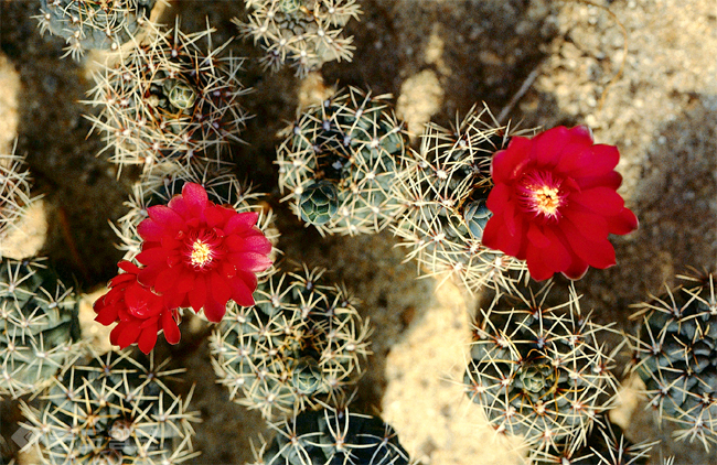 ▲ 사진=게티이미지뱅크