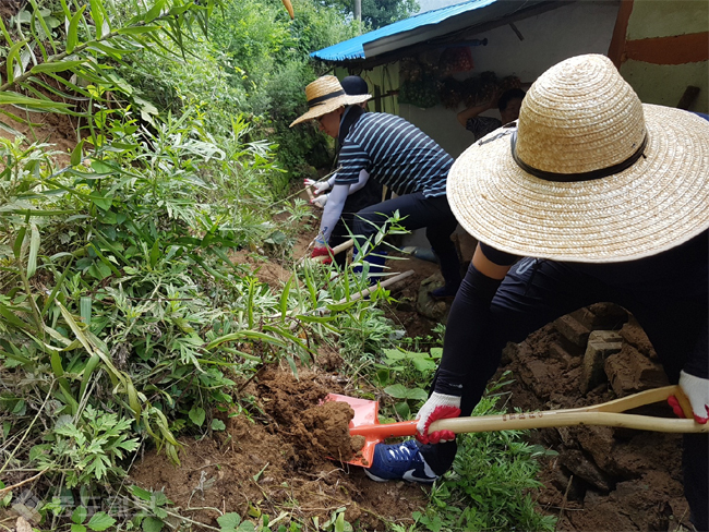 ▲ 충북 진천군 공무원의 대민지원 활동 모습/사진 제공=진천군청 ▲ 충북 진천군 공무원의 대민지원 활동 모습/사진 제공=진천군청
