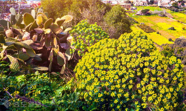 ▲ 사진=게티이미지뱅크