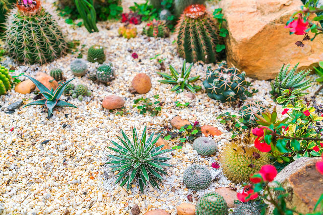 ▲ 사진=게티이미지뱅크 ▲ 사진=게티이미지뱅크