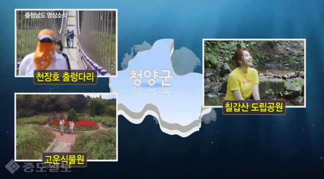 ▲ 충남도인터넷방송 CNITV