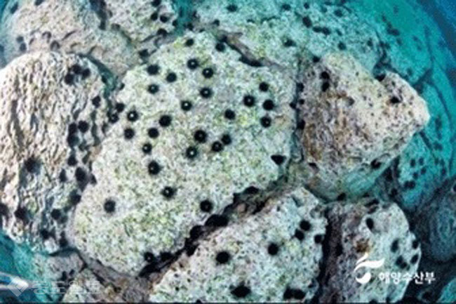 ▲출처=해양수산부 홈페이지 ▲출처=해양수산부 홈페이지