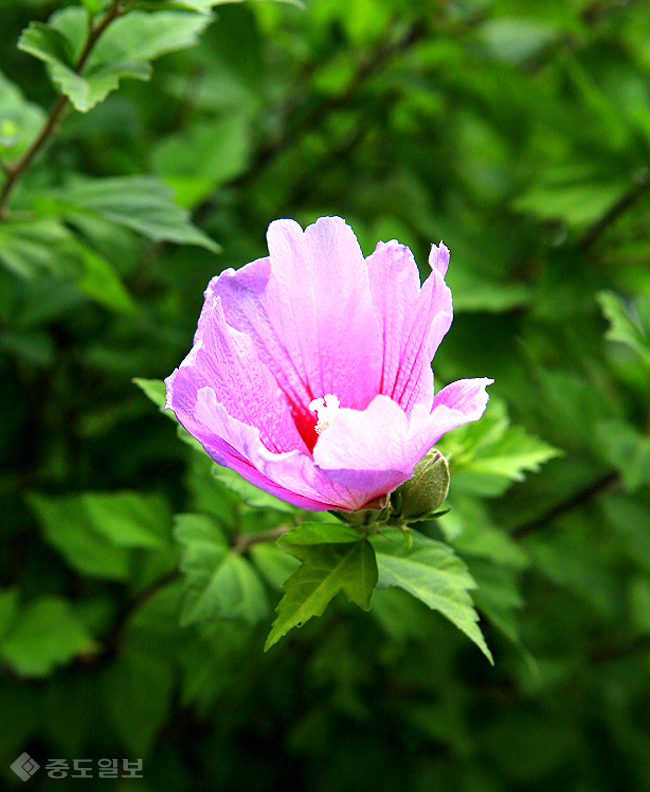 ▲ 사진=게티이미지뱅크