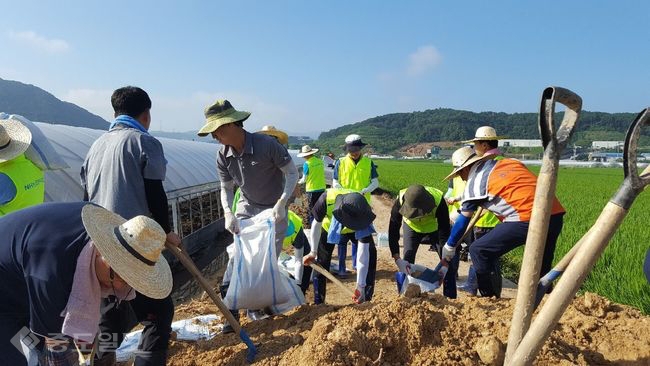 ▲ 농협중앙회 허식 부회장과 중앙본부 임직원 40여명은 2일 충남 천안시 병천면 일대에서 집중호우 피해로 어려움을 겪고 있는 농업인을 위한 수해복구 일손돕기를 실시했다. = 충남농협 제공