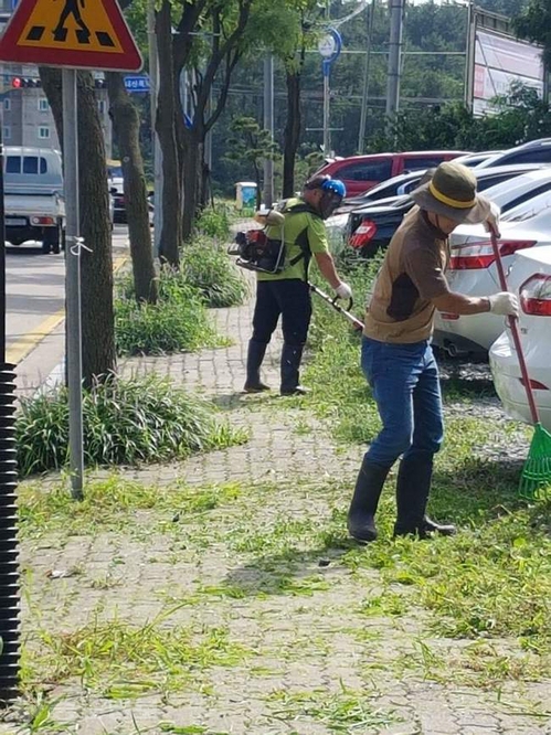 ▲ 서산시 부춘동 도로변 제초 작업 모습