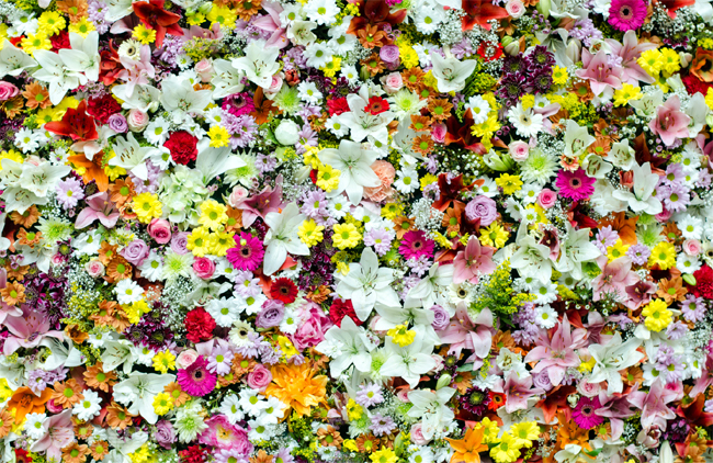 ▲ 사진=게티이미지뱅크 ▲ 사진=게티이미지뱅크