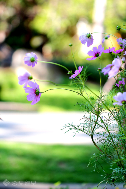 ▲ 사진=게티이미지뱅크