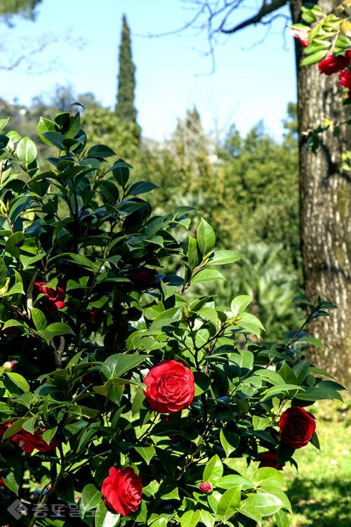 ▲ 사진=게티이미지뱅크