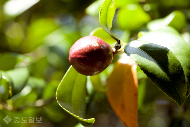 ▲ 사진=게티이미지뱅크
