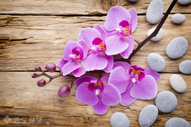 ▲ 게티 이미지 뱅크 ▲ 게티 이미지 뱅크