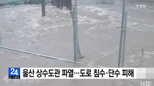 ▲ 사진=YTN 방송화면 캡처