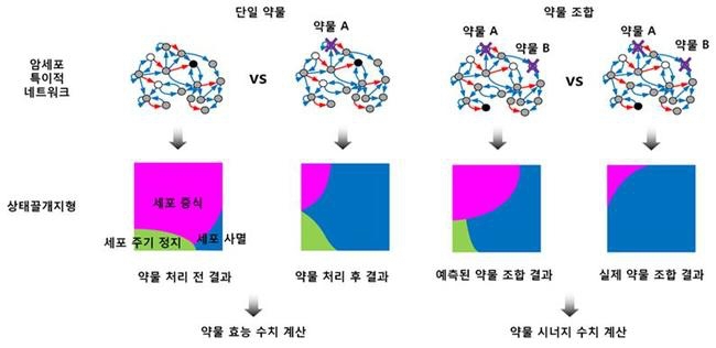 ▲ 빅데이터와 인체네트워크 시뮬레이션을 이용해 개인맞춤형으로 항암을 치료할 수 있는 기술.