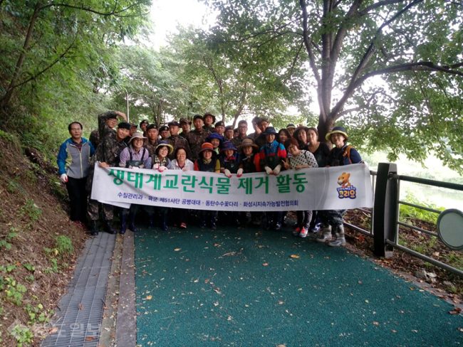 ▲ 생태계 교란식물 제거작업 후 단체사진/사진=화성시