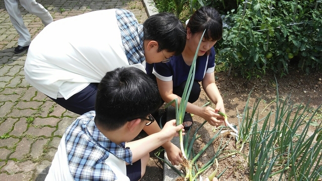 ▲ 학교 텃밭에서 채소를 기르며 따뜻한 감수성을 키우고 있는 홍주중학교 학생들.