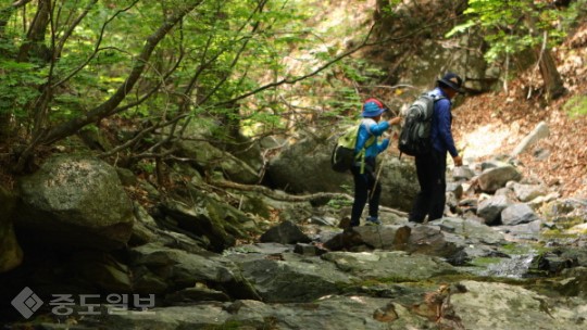 ▲ (사진=KBS 제공) ▲ (사진=KBS 제공)