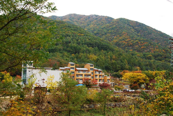 장령산자연휴양림 무료 개방