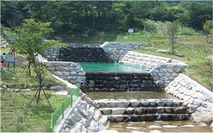 예산군 대흥면 봉수산자연휴양림 사방댐.
