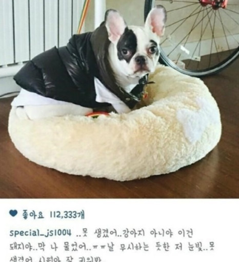 Cap 2017-10-27 22-13-45-009