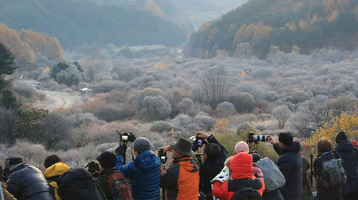 패딩